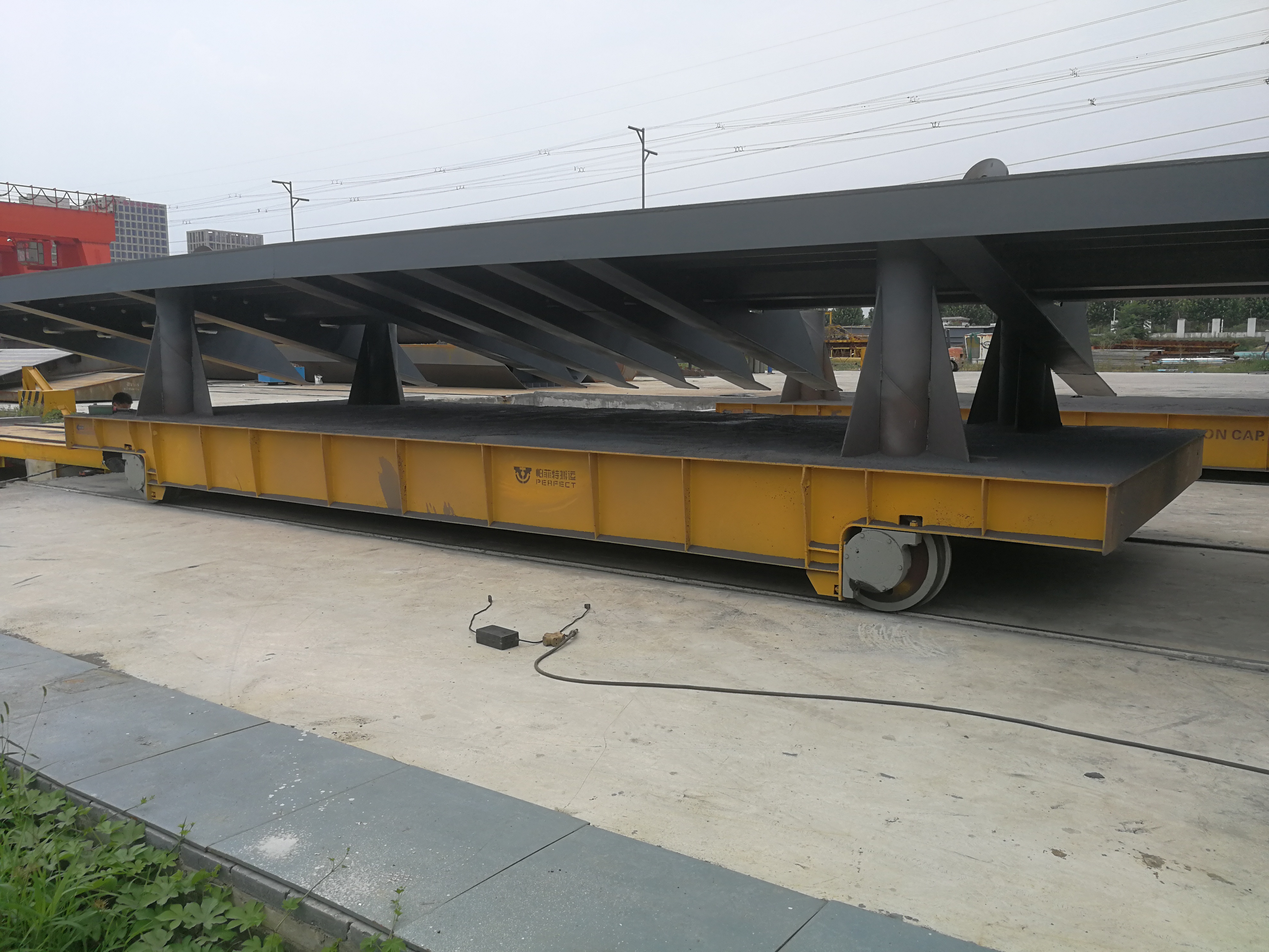 Customized Long Distance Transfer Cart